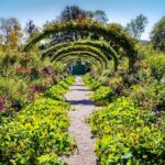 Giverny Half-day Small-group max. 7 people Trip from Paris - Visiting Claude Monet’s House and Gardens