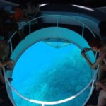 Glass Bottom Boat Tour & Snorkeling in São Miguel, Azores - Exploring the Islet of Vila Franca do Campo in Detail