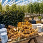 Golden Circle and Blue Lagoon Transfer in Small Group by Van - Exploring the Iconic Golden Circle Stops: Thingvellir, Geysir, and Gullfoss