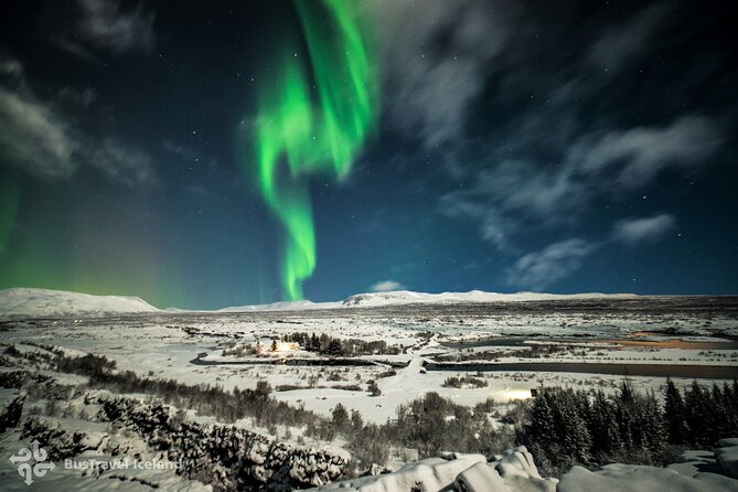 Golden Circle, Secret Lagoon and Northern Lights Tour - From Reykjavik to the Golden Circle’s Most Famous Stops