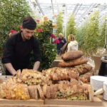 Golden Circle with Tomato Farm and Secret Lagoon(Optional) - Starting from Reykjavik or Hveragerði for a Personal Iceland Adventure