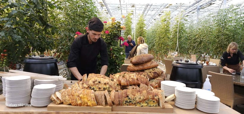 Golden Circle with Tomato Farm and Secret Lagoon(Optional) - Starting from Reykjavik or Hveragerði for a Personal Iceland Adventure