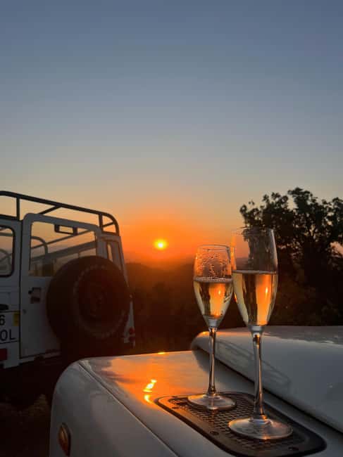 Golden Hour Safari in the Algarve - Starting the Adventure in Albufeira