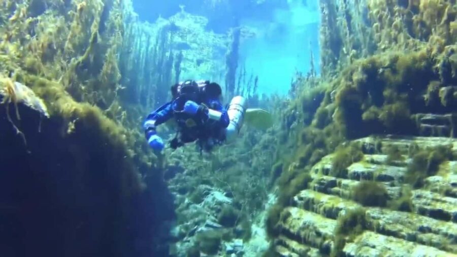 Golem/Durres: Ionian Sea Scuba Diving Experience - What Makes This Scuba Tour in Durres Unique