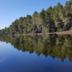 Golem/Durrës: Karavasta Lagoon Tour - Exploring Divjaka-Karavasta National Park and the Lagoon