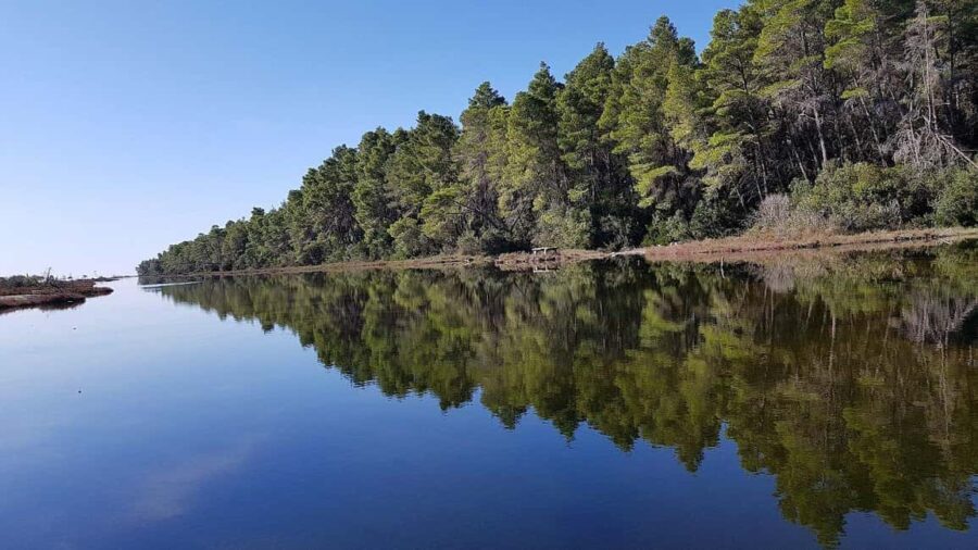 Golem/Durrës: Karavasta Lagoon Tour - Exploring Divjaka-Karavasta National Park and the Lagoon