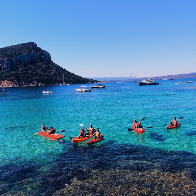 Golfo Aranci: Kayak Tour with Dolphins and Aperitif - Starting Point at Spiaggia dei Baracconi