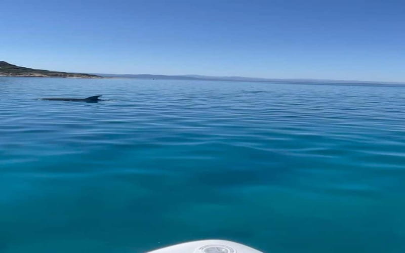 Golfo Aranci tour SUP Paddleboard Dolphin watching, aperitif - The Perfect Start at Cala Moresca Beach