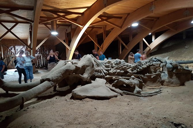 Golubac and Viminaciium tour from Belgrade - Discovering Smederevo Fortress: Serbia’s Last Medieval Capital