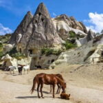 Göreme: Private Camel Tour, Pottery, Horse Ride w/Lunch - Learn the Craft of Traditional Cappadocian Pottery in Avanos