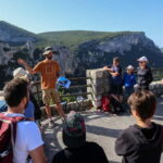 Gorges du Verdon: Watching vultures - What Birds Will You See in the Verdon Gorge?