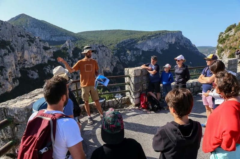 Gorges du Verdon: Watching vultures - What Birds Will You See in the Verdon Gorge?