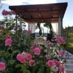 Gorika Brda: Wine Tasting with Local Snacks - Exploring the Stunning Locations of the Tasting Sessions