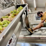 Gourmet Alsace: Cellar tour and snack tasting - Inside the Vat Room: Nature’s Nursery for Wine