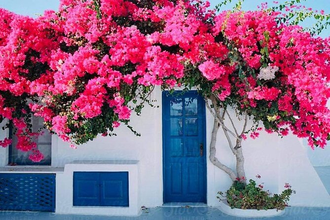 Gourmet Journey: 12-Course Lunch, Wine Tasting & Culinary Session - The 11-Course Greek Lunch and Wine Experience