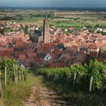 Gourmet walk in the Grand Cru Frankstein Vineyard - Dambach-la-Ville - The Experience Provider: SARL RUHLMANN-SCHUTZ