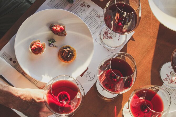 Gourmet Wine & Food Tasting - Choose Between Brunello Focus or a Complete Wine Overview