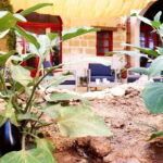 Gozo: Traditional and Local Breakfast in a Historic building - What to Expect at Il-Barrag Farmhouse