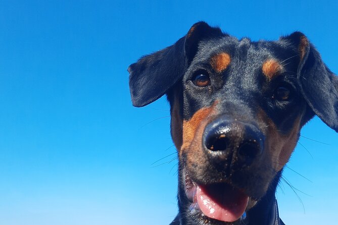 Gozo Unveiled - Hiking in Gozo - Visiting Historical Sites: The Tal-Wardija Punic Temples and Coastal Towers