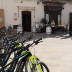 GPS tour with E-Bike on cycleroute of acqueduct Pugliese with wine tasting directly in vineyards - Departing from the Picturesque Town of Locorotondo