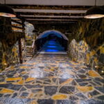 Graani: Winery Tour and Tasting at Winery Lipovac - Exploring the Vineyards with Autochthonous Grape Varieties