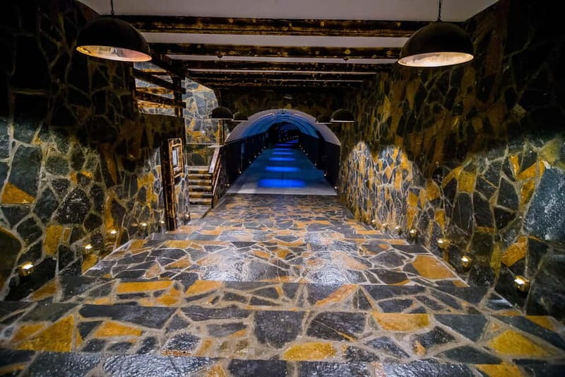 Graani: Winery Tour and Tasting at Winery Lipovac - Exploring the Vineyards with Autochthonous Grape Varieties