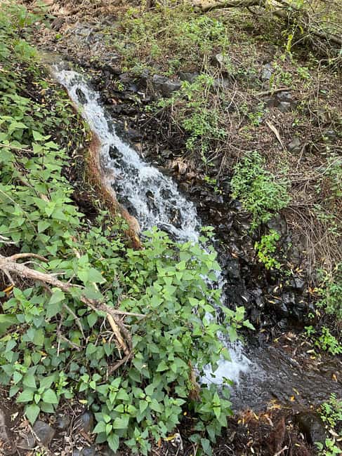 Gran Canaria: a trip to the Barranco de los Cernícalos - Visiting the Village of Agüimes