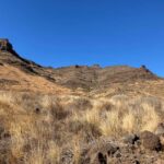 Gran Canaria: a trip to the Veneguera Valley - Starting in Veneguera: The Village with the Largest Cardón