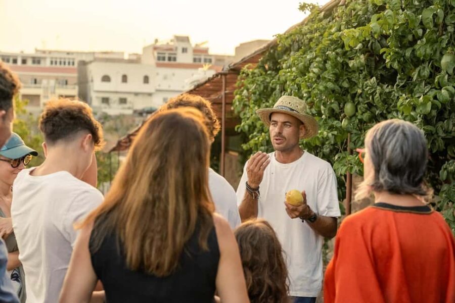 Gran Canaria: Agüimes, Gofio Mill & Eco Farm Food Tasting - Enjoy the Lush PepeOil Eco Farm