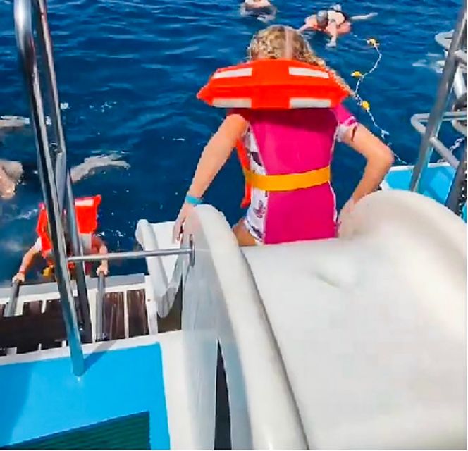 Gran Canaria: Catamaran Dolphin Watch Cruise with Snorkeling - Departure from Puerto Base Harbor for a Marine Wildlife Search