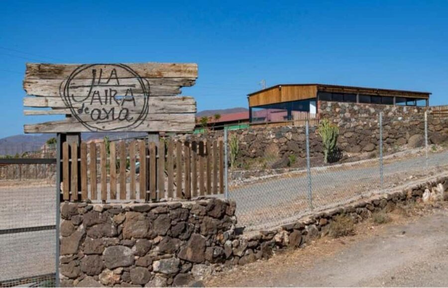 Gran Canaria: Cheese workshop in Agüimes - The Authentic Setting of Ana’s Jaira Farm in Agüimes