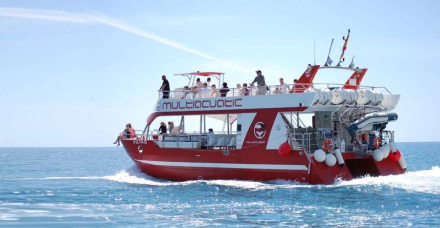 Gran Canaria: Dolphin and Whale Watching Cruise - Departing From Puerto Rico: Easy Access and Transfers