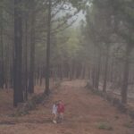 Gran Canaria: Full-Day Customizable Private Photography Tour - Personalized Route Tailored to Your Interests