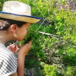 Gran Canaria: Green Witchcraft in the Magic Island - Exploring the Magical Azuaje Ravine