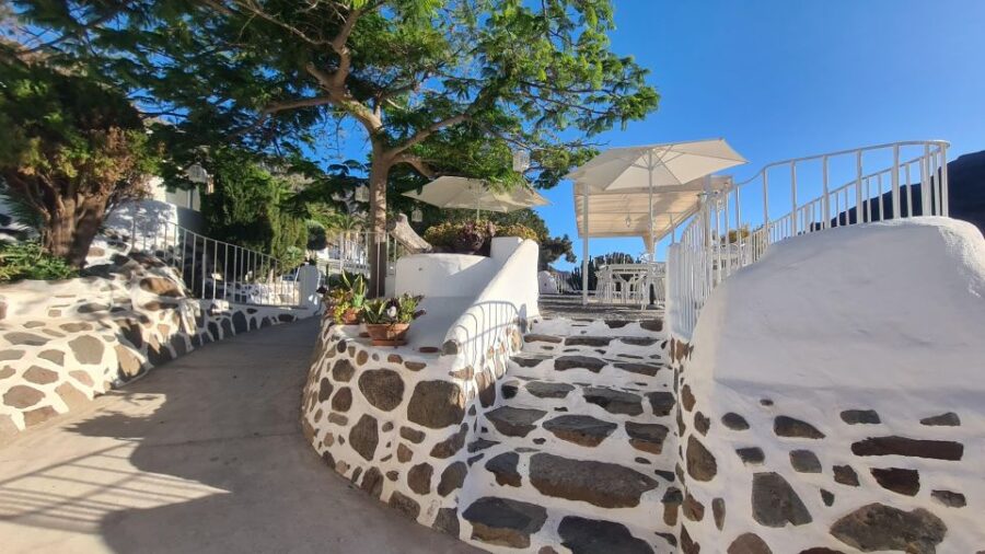 Gran Canaria historical house with mango plantation in Mogan - The Cactus Garden and Native Vegetation
