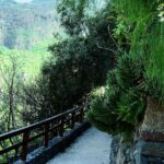 Gran Canaria Historical Tour - Exploring Caldera de Bandama