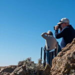 Gran Canaria: Island Highlights Tour with Optional Lunch - Exploring the Iconic Pico de las Nieves and the Church