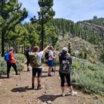 Gran Canaria: "Peaks of Gran Canaria" Hiking Tour - The Route and Key Stops