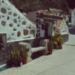 Gran Canaria: Scenic Tour+Typical lunch+Wine/Coffee Tasting - Key Points