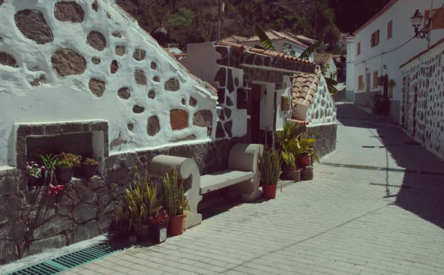 Gran Canaria: Scenic Tour+Typical lunch+Wine/Coffee Tasting - Key Points