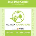 Gran Canaria Scuba Diving for Certified Divers - What Makes the Underwater Landscape Unique in Gran Canaria