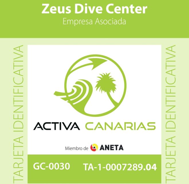 Gran Canaria Scuba Diving for Certified Divers - What Makes the Underwater Landscape Unique in Gran Canaria