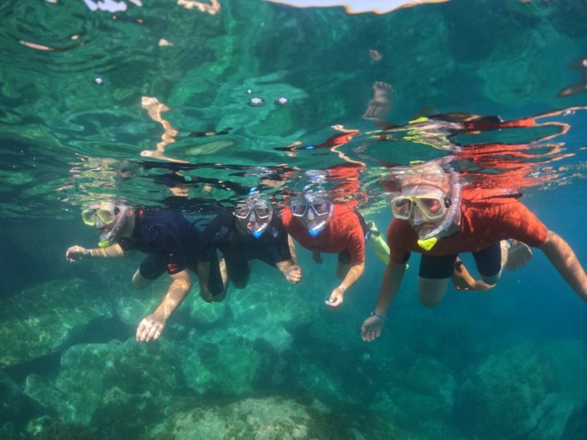 Gran Canaria: Snorkel tour with boat on the west coast - Starting Point and Pickup Locations in Gran Canaria’s South
