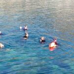 Gran Canaria: Snorkeling Trip - Starting Point at Puerto Rico de Gran Canaria