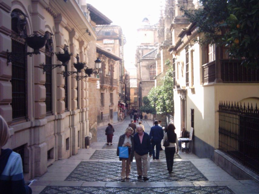 Granada (Albaicín) Private Guided Walking Tour - Discovering Granadas Moorish Roots at Puerta Elvira