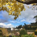 Granada: Alhambra & Generalife Fast-Track Guided Tour - Strolling Through the Generalife Gardens and Scenic Vistas