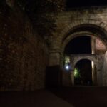 Granada: Alhambra Night Visit Entry Ticket - Starting at the Meeting Point for the Night Visit