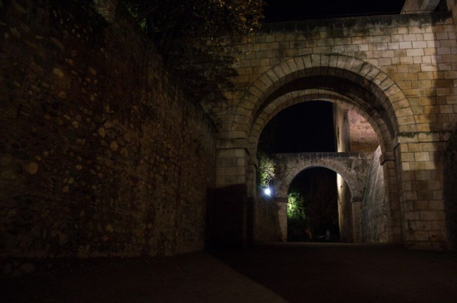 Granada: Alhambra Night Visit Entry Ticket - Starting at the Meeting Point for the Night Visit