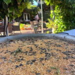 Granada: Dinner with Paella on a Terrace in the Albayzín and Live Flamenco - The Experience in Context: Authenticity and Atmosphere