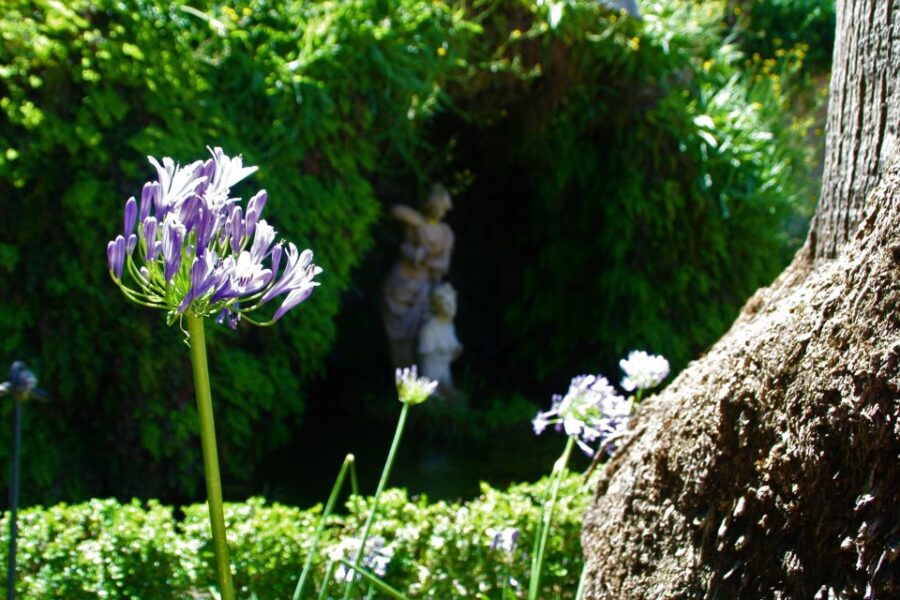 Granada: Gardens of Carmenes Guided Tour - The Unique Charm of Granada’s Cármenes Homes